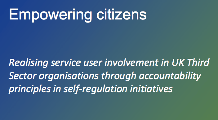 Empowering citizens – Realisation of User Participation in SRIs